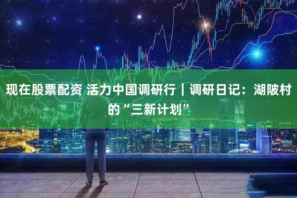 现在股票配资 活力中国调研行｜调研日记：湖陂村的“三新计划”